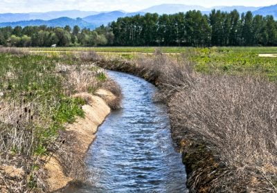 ¿Qué es y para qué sirve la agricultura de irrigación?