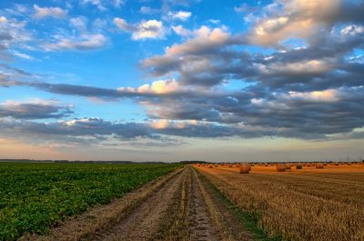 La agricultura regenerativa, origen y principios
