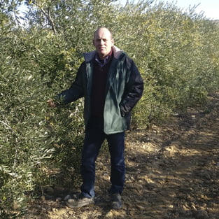 gestion-agricola-olivar