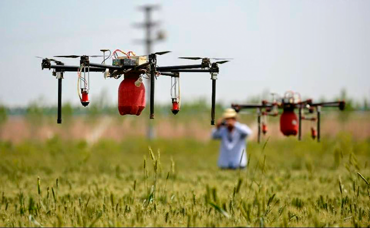 Drones para fumigar. ¿Son viables para nuestros cultivos?