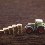 negocios agricolas rentables