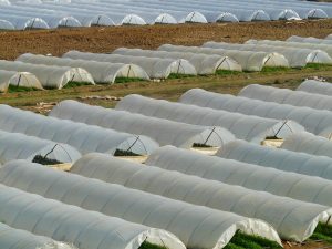 cubiertas agrícolas no reciclables