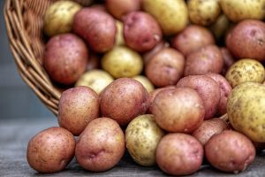 patatas en el riego por aspersión